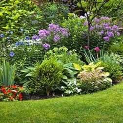 Ein Garten voller unterschiedlicher Blumen- und Pflanzenarten.