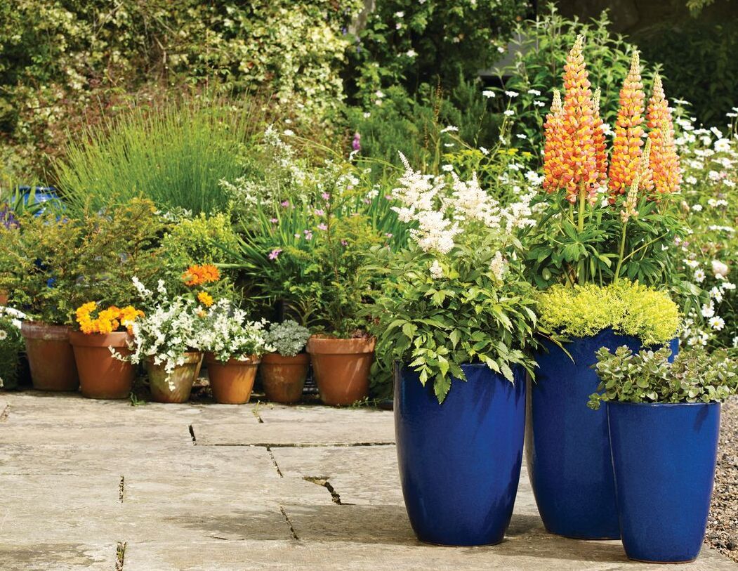 Pots and Planters