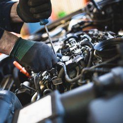 annual car servicing
