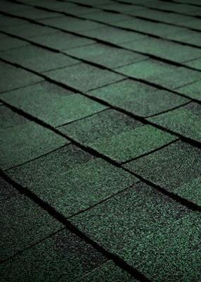 Rustic Evergreen
