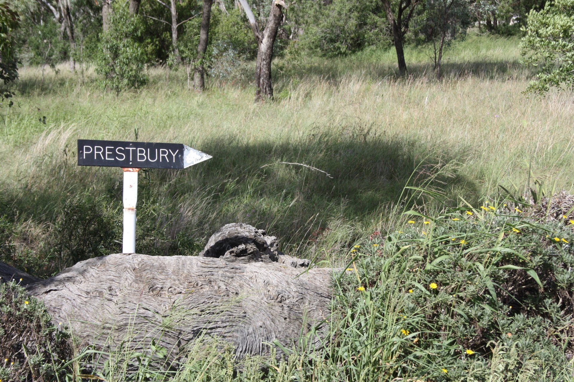 mooroobie angus at prestbury