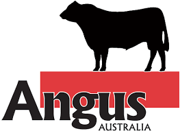 Angus Australia Logo