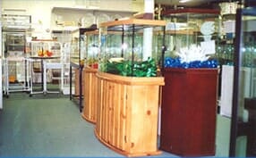 Aquariums