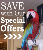 Parrot, Pet Supplies in Rocky Point, NY Parrot, Pet Supplies in Rocky Point, NY