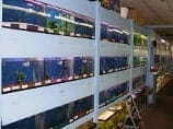 Aquariums