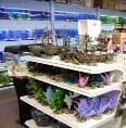 Aquarium Supplies