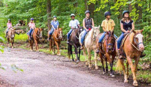 horseback riding