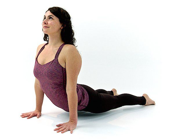 upward facing dog yoga position