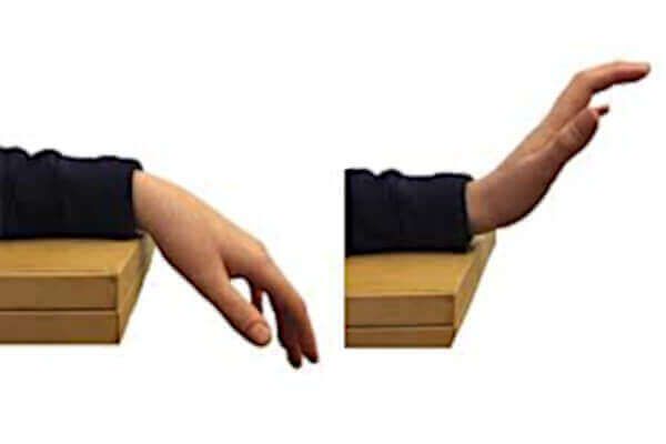 wrist flexion and extension