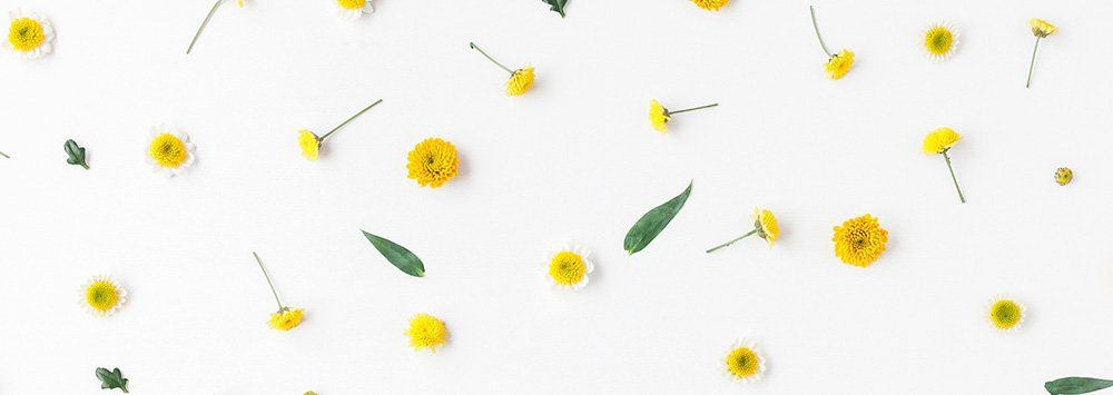 yellow flowers
