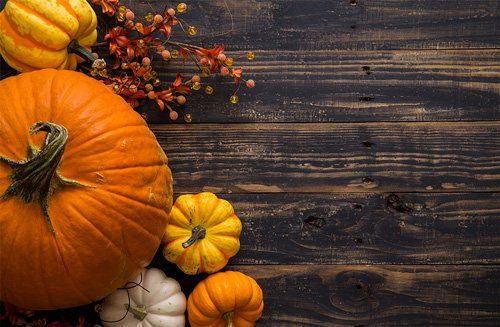 day after thanksgiving, 5 pumpkins on top of table