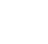 Icon Phone