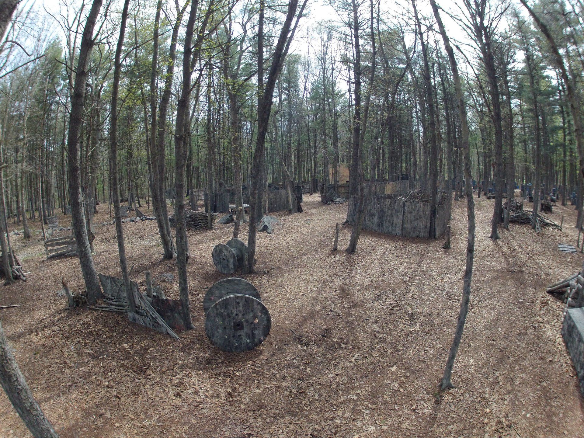 Barter Town Field Gallery