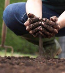 Hand with Soil - Nursery in Tampa, FL Hand with Soil - Nursery in Tampa, FL