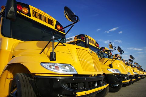 Newly painted auto fleet service — Port Allen, LA — Delaune’s Auto Body Newly painted auto fleet service — Port Allen, LA — Delaune’s Auto Body