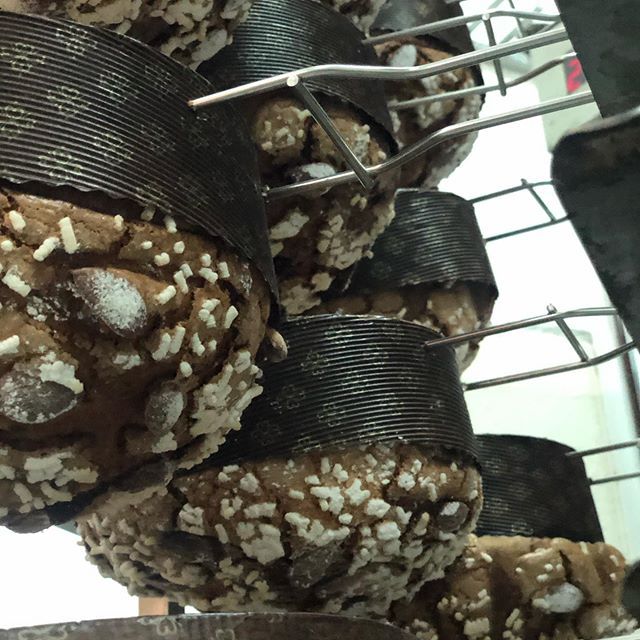 panettoni