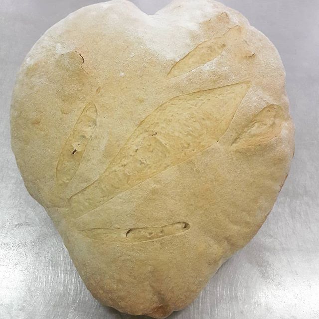 pane fatto in casa