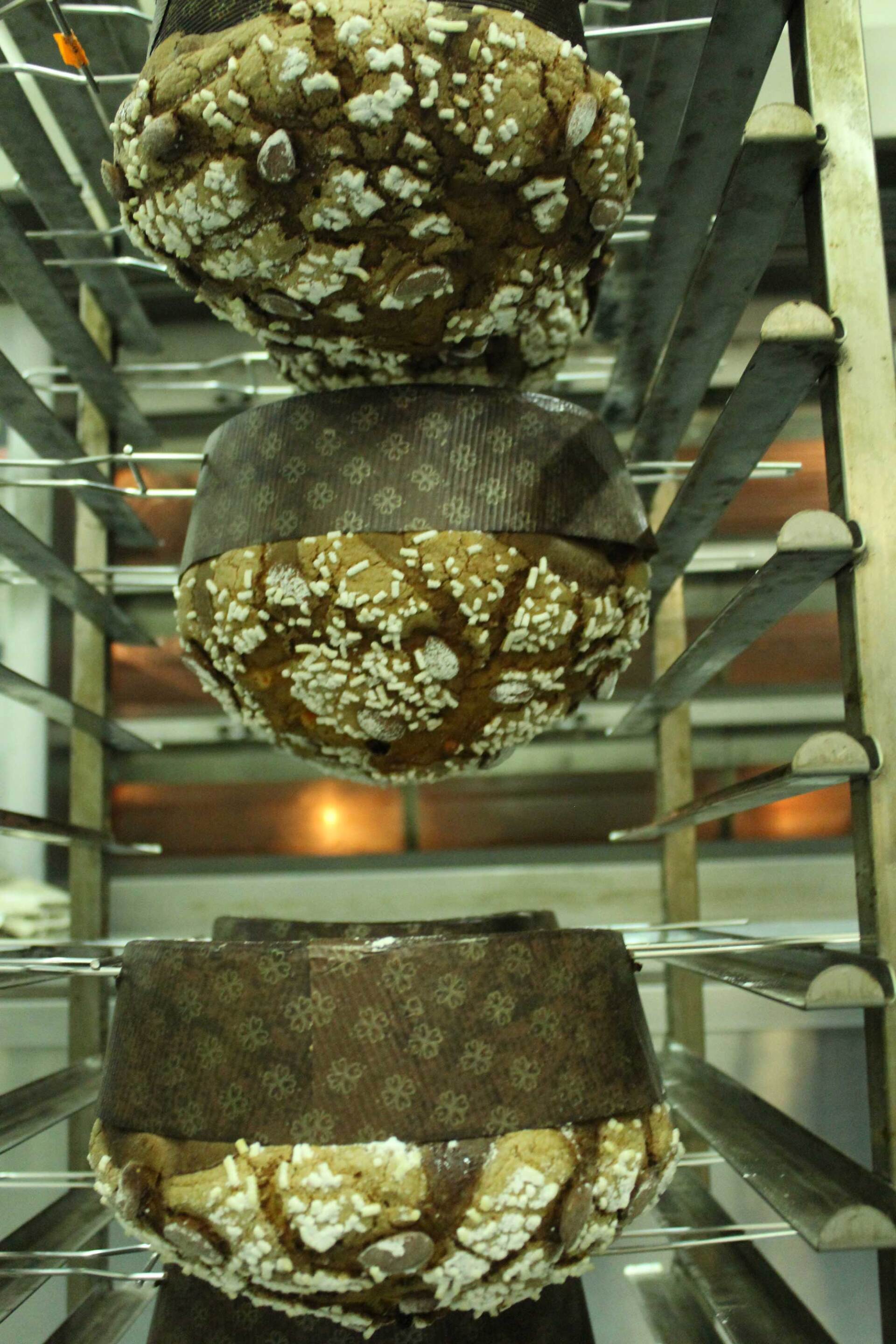 fila di panettoni