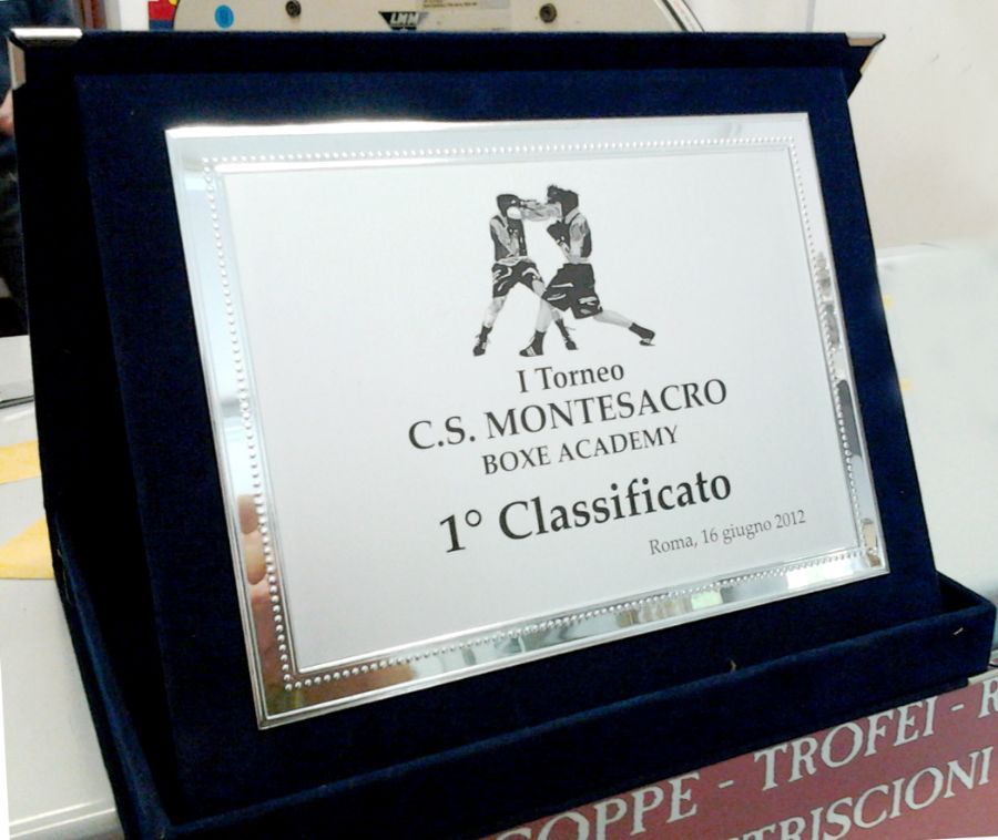 trofeo pugilato