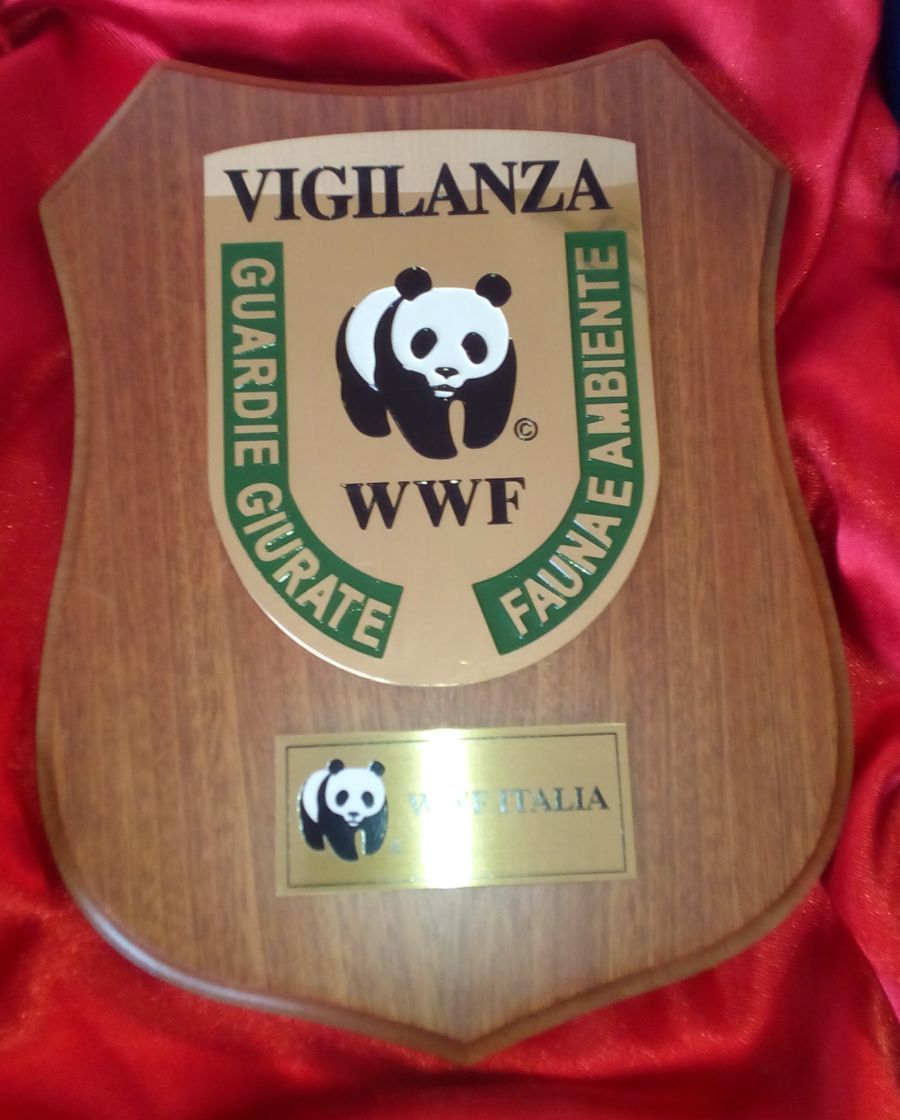 targa WWF