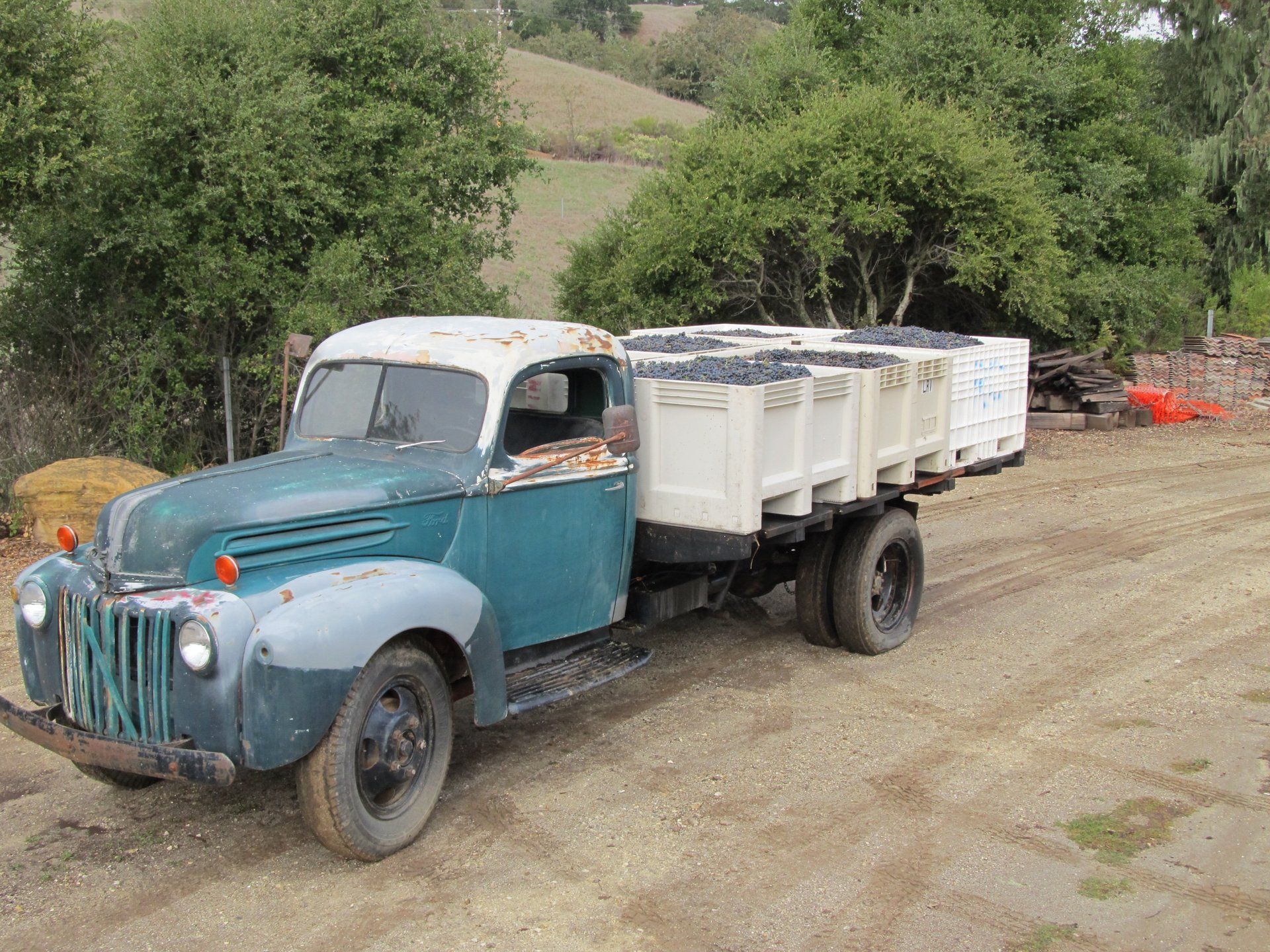Rocky Creek Cellars | Winery | Wine Making | Paso Robles