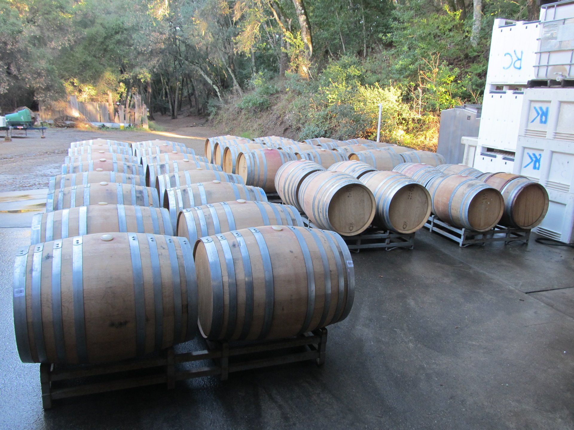 Rocky Creek Cellars | Winery | Wine Making | Paso Robles