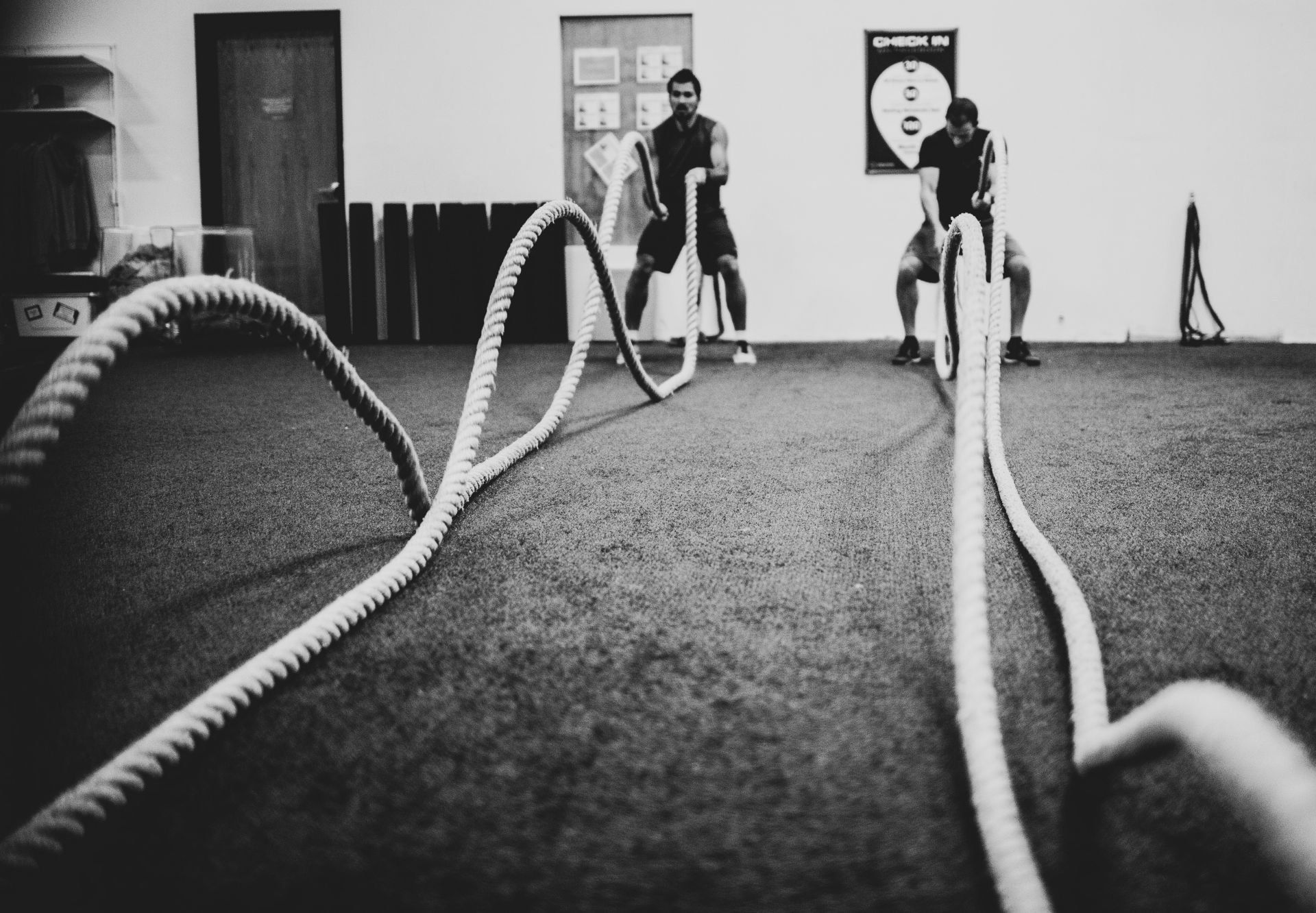 Two men exercising with battle ropes in a gym.