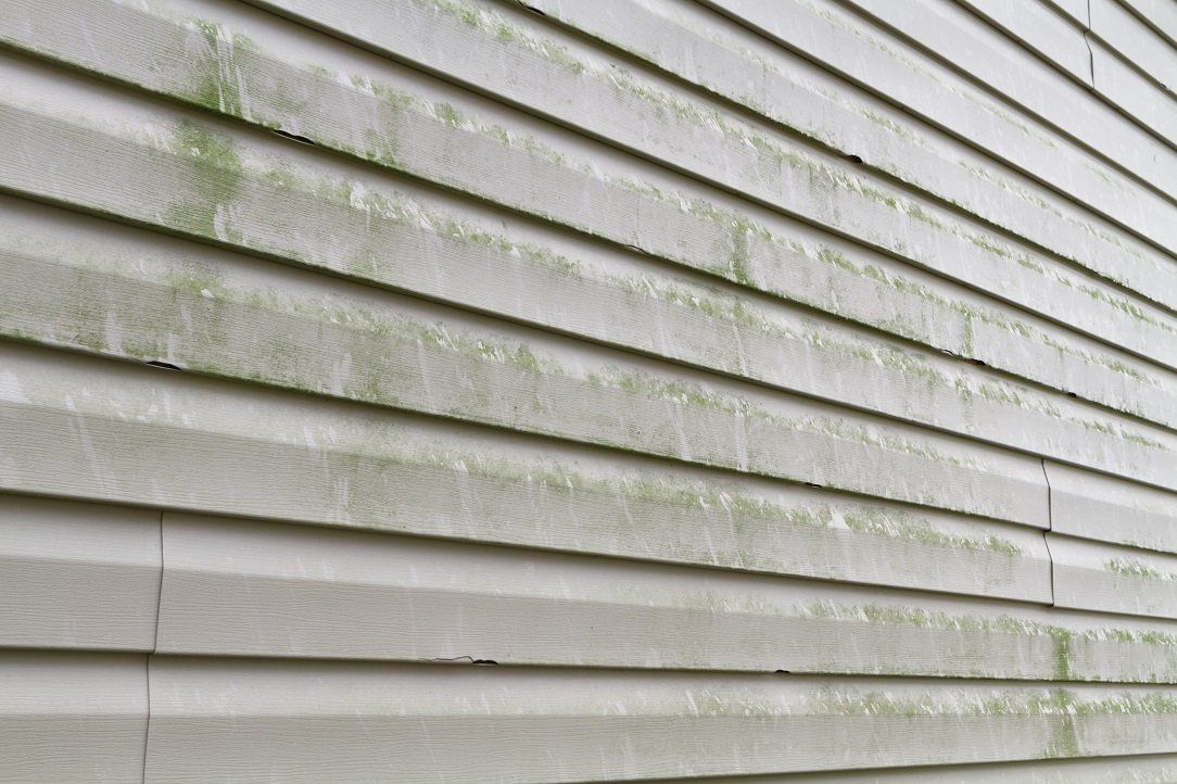 Siding with Mold ─ Mercer, PA ─ Gerlach’s Seamless Gutters & Home Improvements