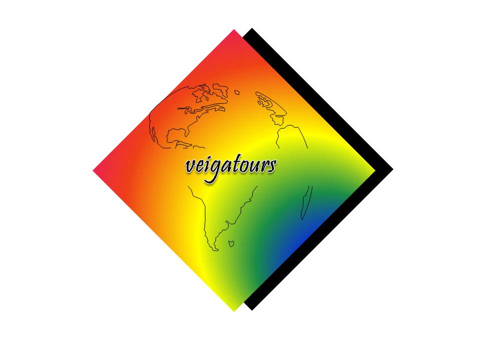 VEIGATOURS.COM