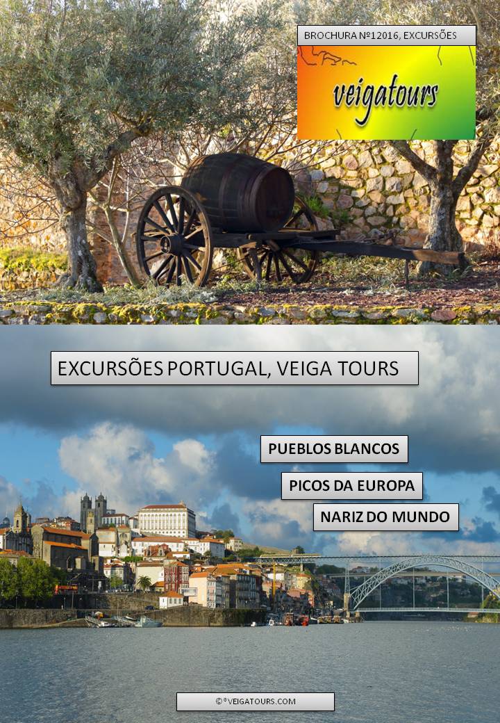 EXCURSÕES VEIGATOURS