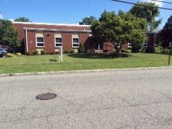 Huge Tree Near Office — Clifton, NJ — Evergreen Commercial Real Estate Brokers Inc