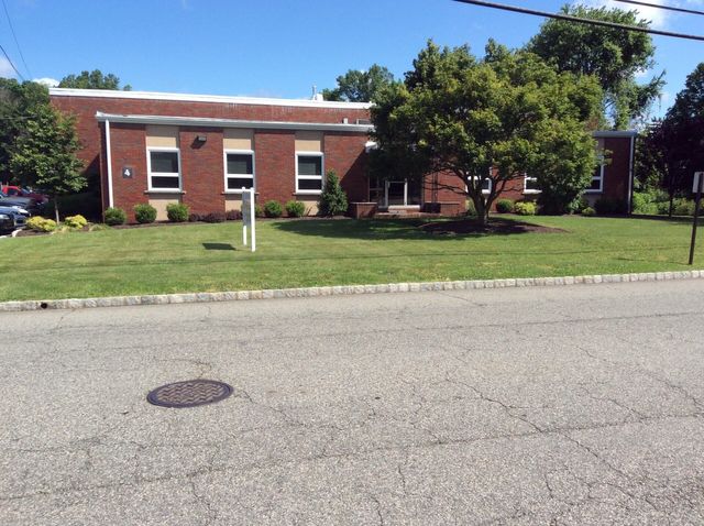 Huge Tree Near Office — Clifton, NJ — Evergreen Commercial Real Estate Brokers Inc
