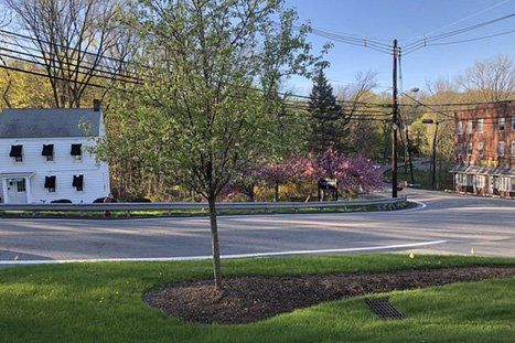 Small Tree — Clifton, NJ — Evergreen Commercial Real Estate Brokers Inc