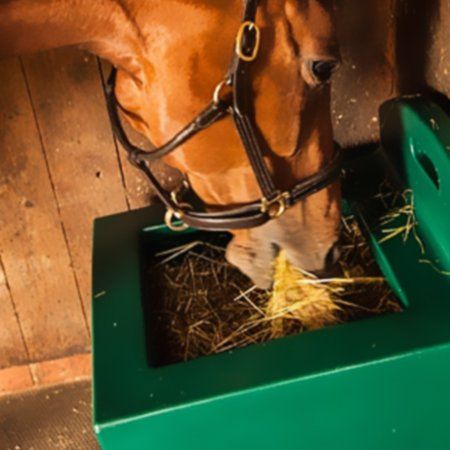 Hay feed
