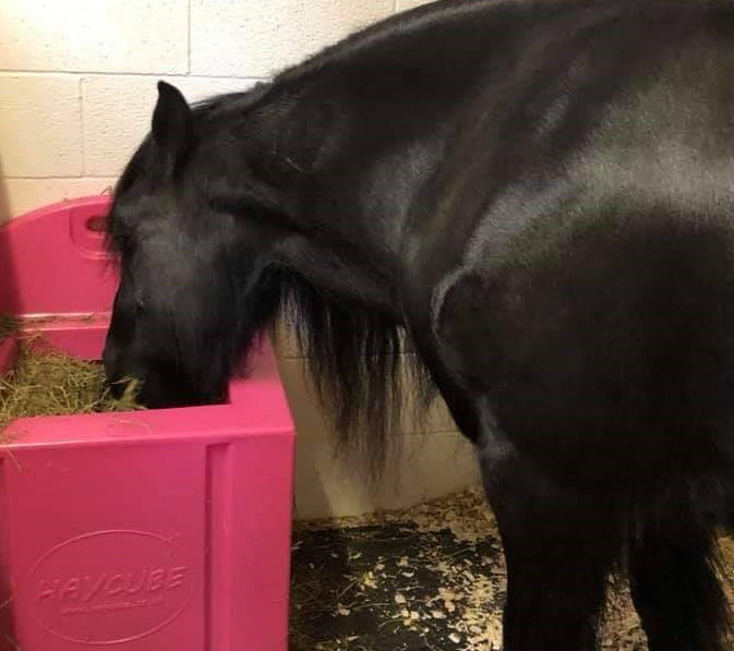 Soaking hay