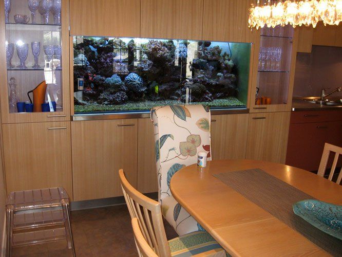 fish tank in kitchen