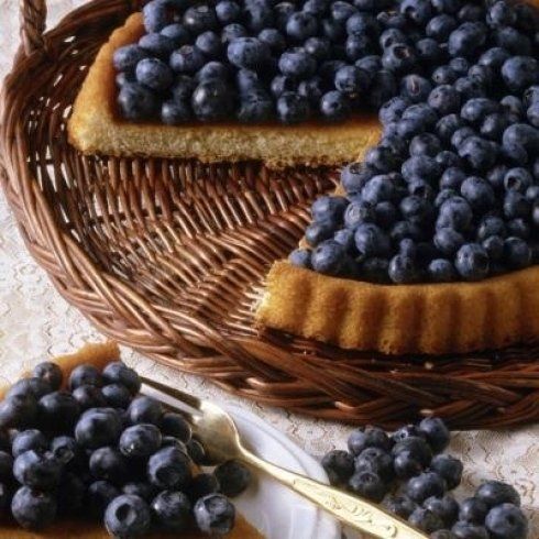 crostata ai mirtilli