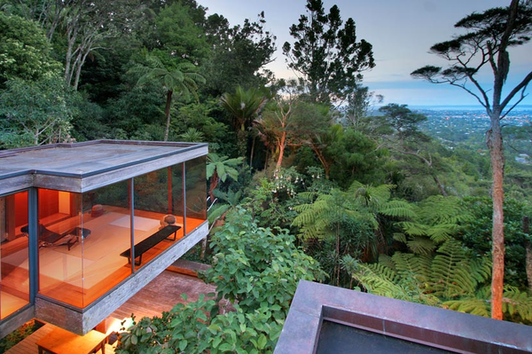 A house with a view of a lush green forest