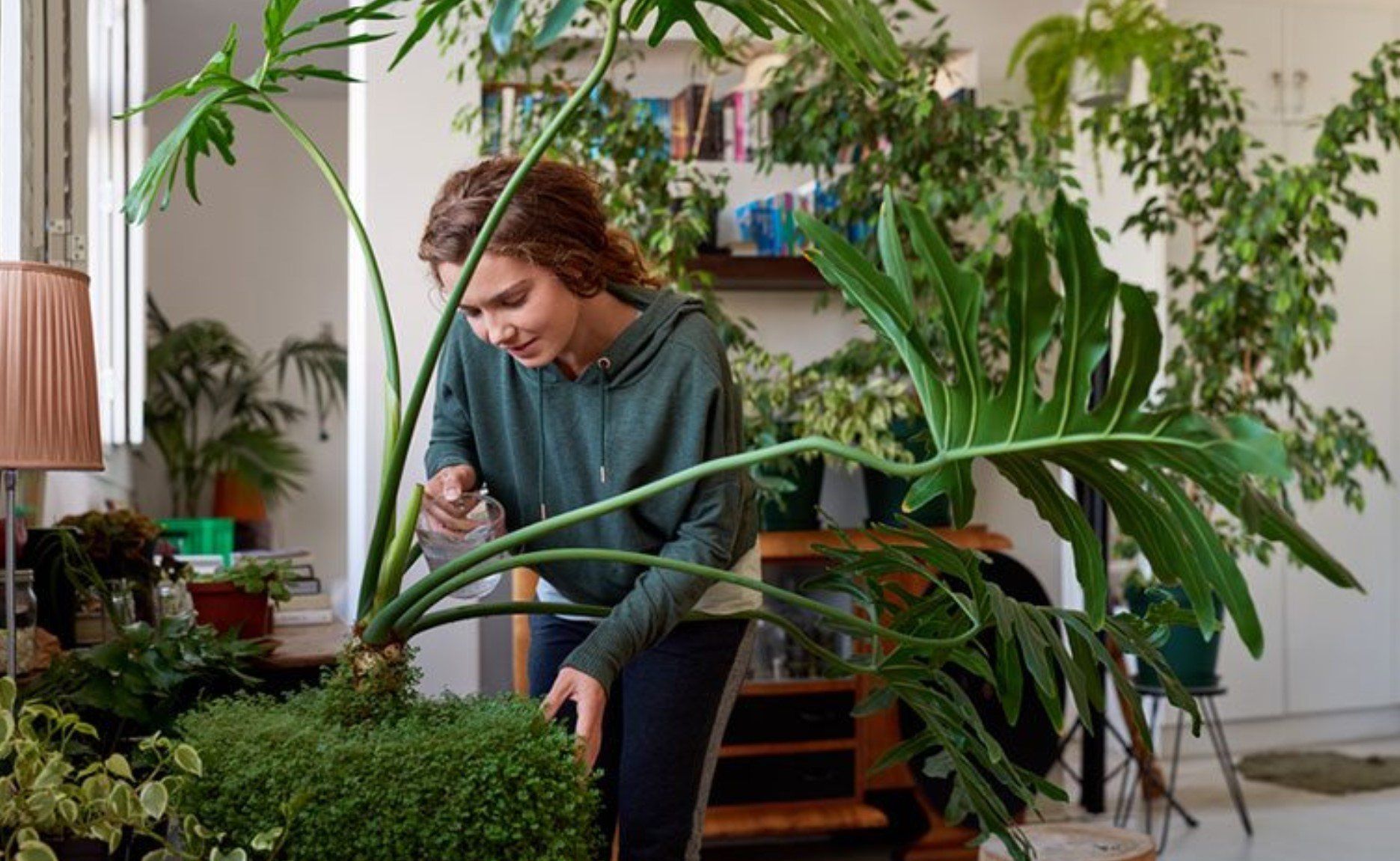 turn your home into your own personal wellness centre