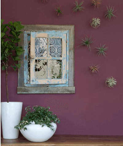 Plants have been used to define this wall Living wall