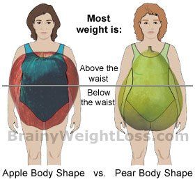 fat around the middle