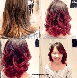 hair colouring by the specialists
