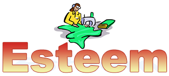 Esteem logo