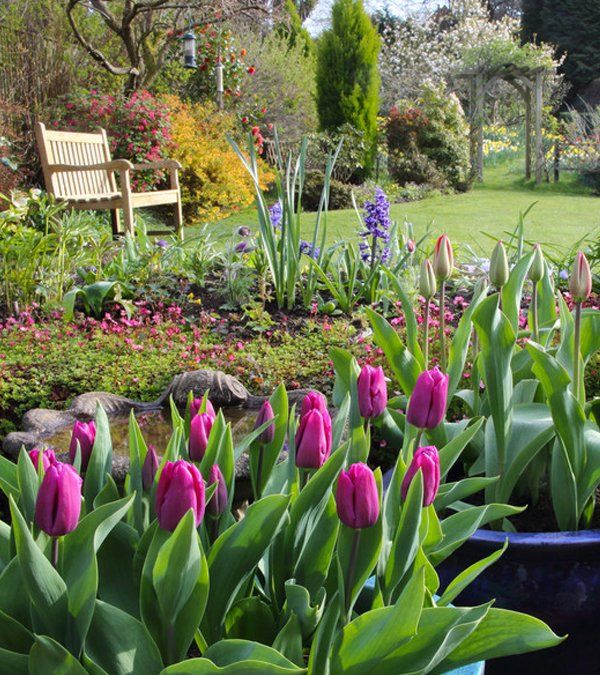 grounds maintenance and plants