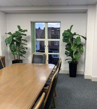 flower plant 5