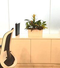 flower plant 4