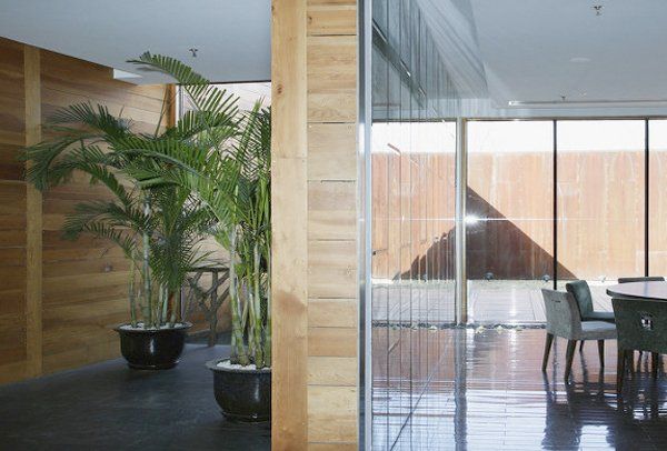 plant displays