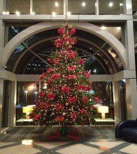 Special Christmas trees
