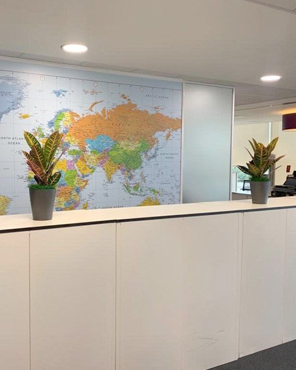 Exceptional reception plant displays from Passiflora
