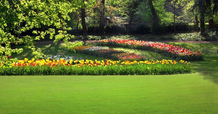 Grounds maintenance